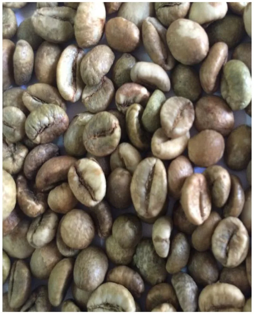ROBUSTA GREEN COFFEE BEANS SCR#16, VIETNAM ORIGIN, HIGH QUALITY, REASONABLE PRICE (used to make hot beverage, etc.)