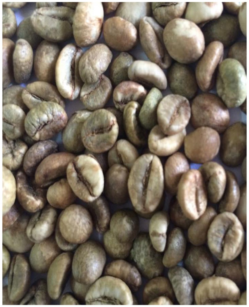 ROBUSTA COFFEE BEANS SCR#18, VIETNAM ORIGIN, GOOD QUALITY, REASONABLE PRICE  (used to make hot beverage, etc.)