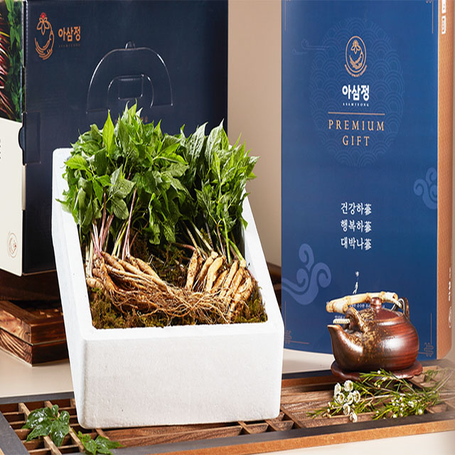 ASAEMJEONG/женьшень/