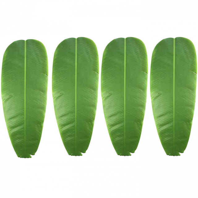 Japaneseプレイヤーの販売 オンラインショッピング 冷凍バナナの葉 Alibaba Comでのjapaneseプレイヤーの販売