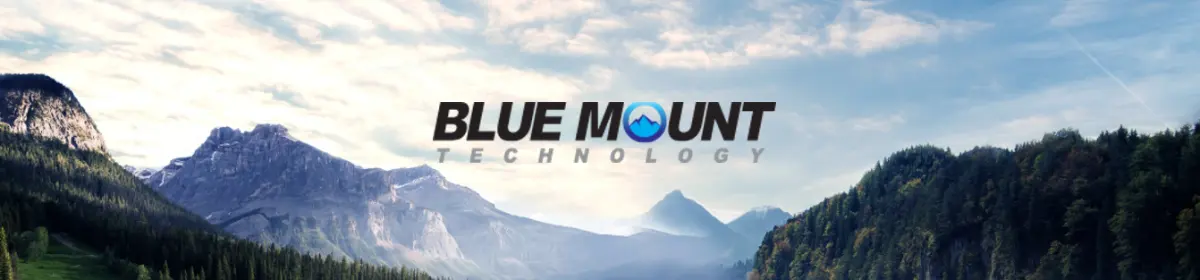 Company Overview - BLUE MOUNT TECHNOLOGY CO., LTD.