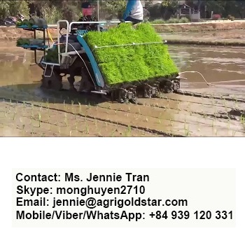 KUBOTA RICE TRANSPLANTER 68C - MADE IN THAILAND - EXPORT WORLDWIDE - LOWEST PRICE - HIGHEST QUALITY - STRONGEST ENGINE - SALE