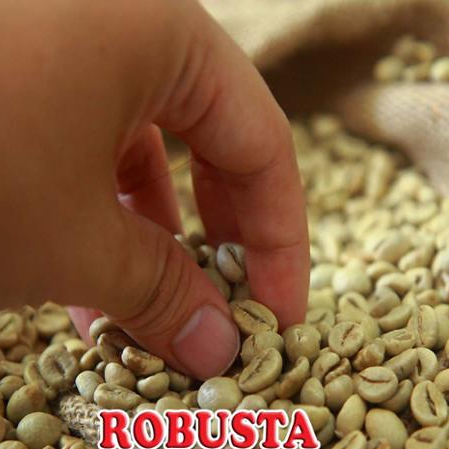 coffee bean exporters