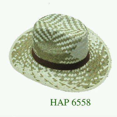 beach hats for sale