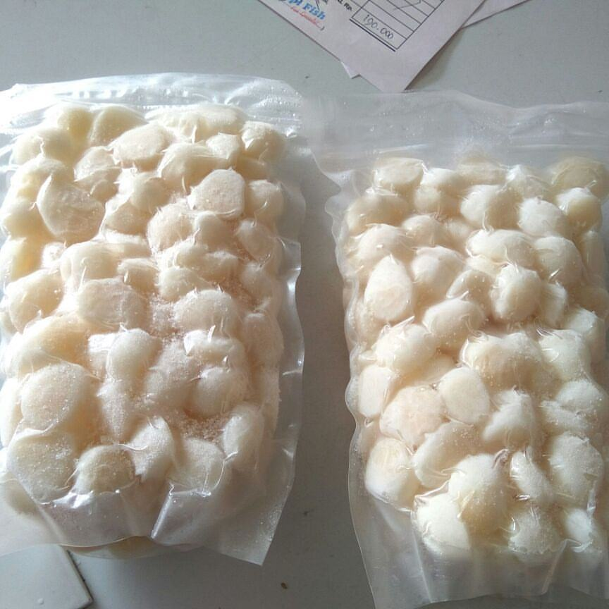 морской гребешок замороженный