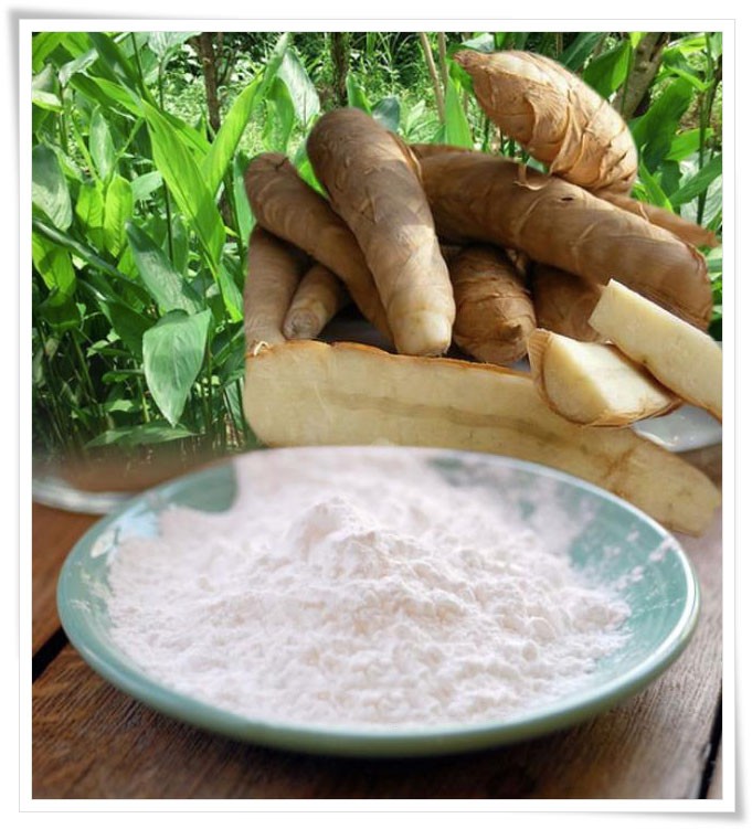 竹芋玻璃面2020年