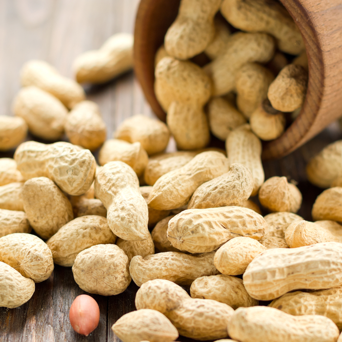 плод арахиса. арахис тип. орехи в скорлупе. строение арахиса. Natural araxis.