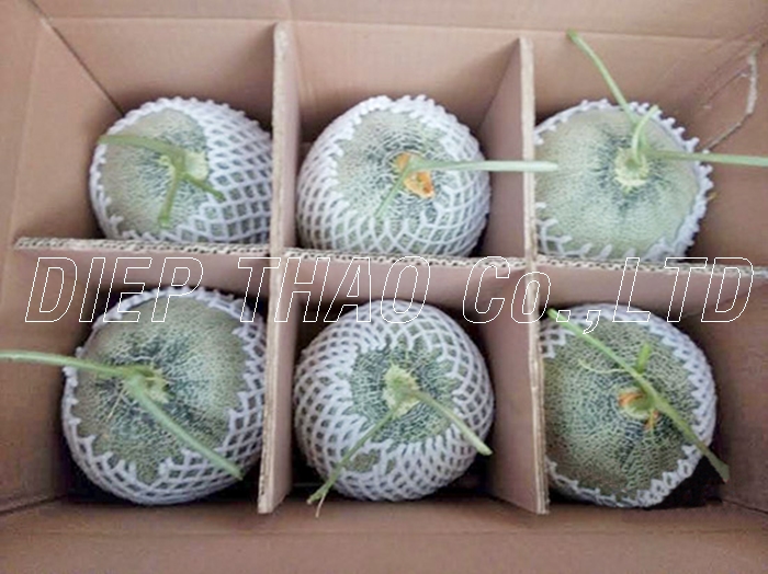 供应商新鲜哈密瓜/新鲜香瓜 - buy yellow melon seeds,hami melon