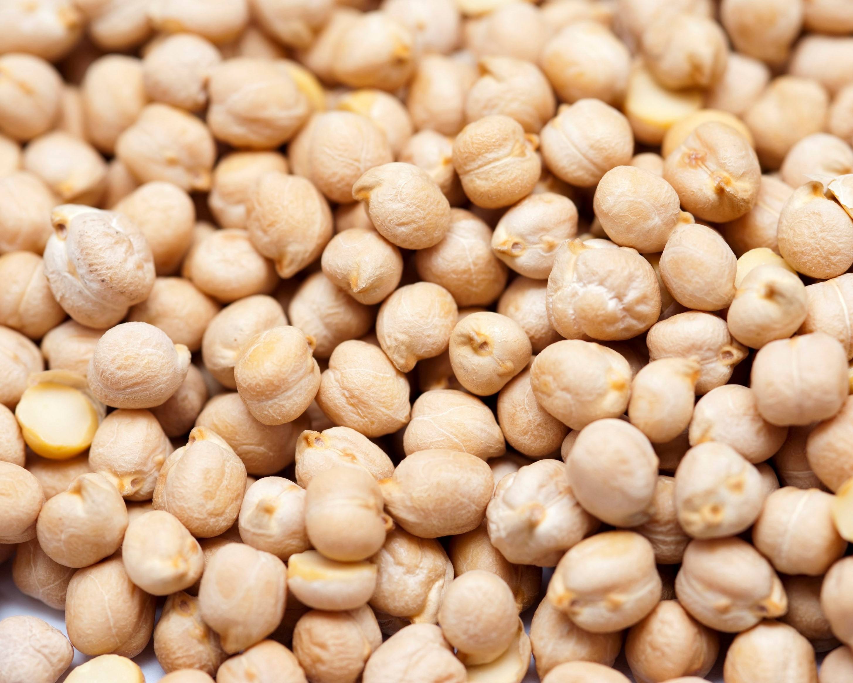 Нут иран. Нут (турецкий горох). Нут chickpeas. Собака нут. Нут chickpeas.