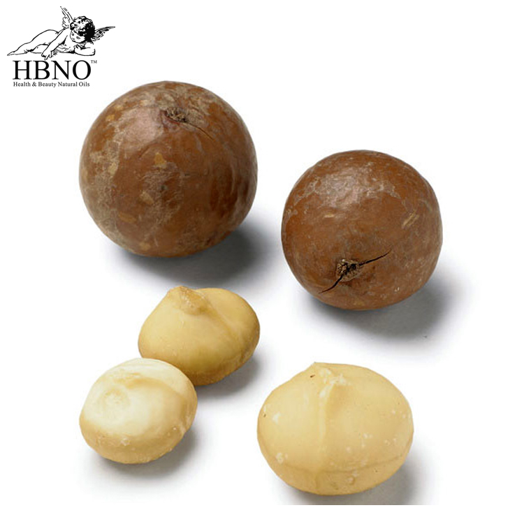 Вьетнамский орех макадамия. Macadamia nuts. Скорлупа макадамии. Макадамия. Макадамия неочищенный.