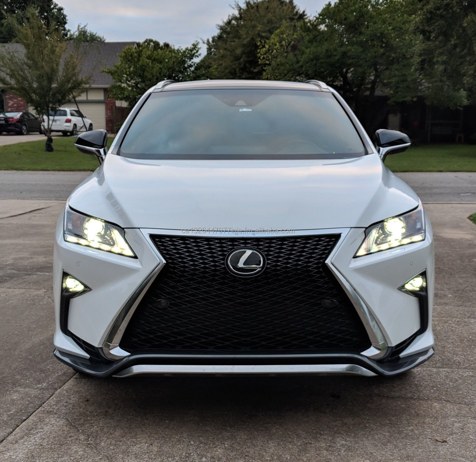 Rear Bumper Protector Trim for 2016-2018 Lexus RX350 RX450h RX200T Steel