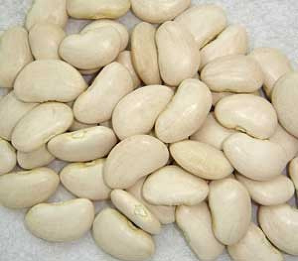 Lima beans. Lima beans