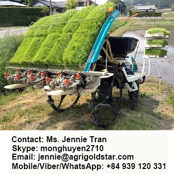 RICE TRANSPLANTER - MADE IN THAILAND - EXPORT WORLDWIDE - LOWEST PRICE - HIGHEST QUALITY - STRONGEST ENGINE - SALE