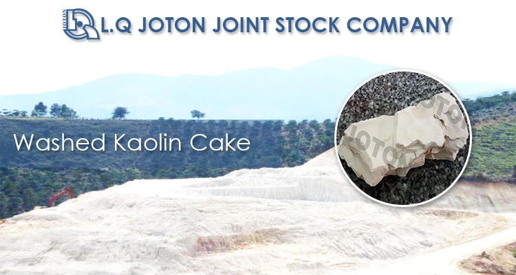 Top Selling Products For Making Paper Cake Washed Kaolin WKJ01 Sell Japan Market Free Sample