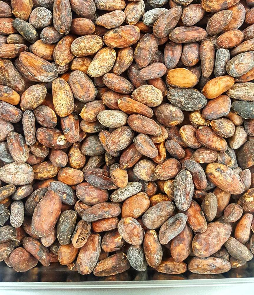 Экспортеры какао. Топ экспортеров какао бобов. Какао Бобы оптом.