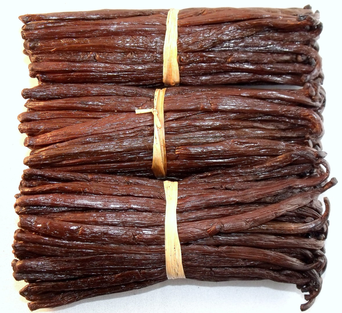干燥的野生油性香荚兰荚果整个香草豆香料