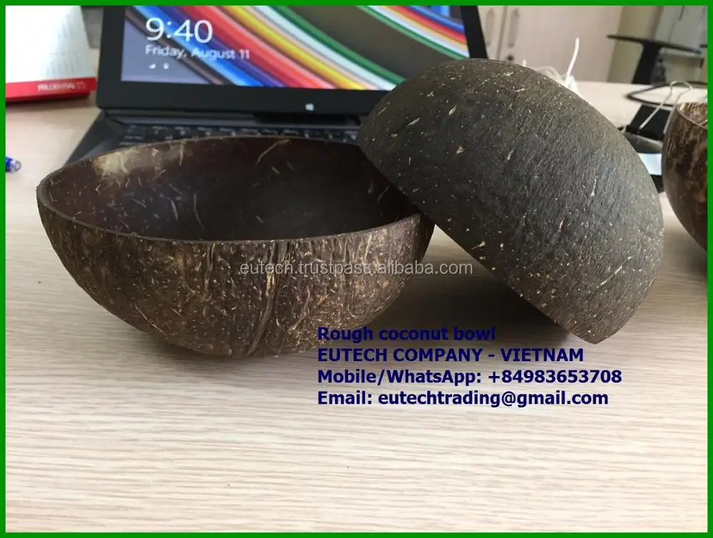 Vietnam Eco friendly Rough coconut shell bowl cheap price