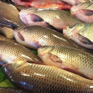 Ikan Rohu Masak Stim