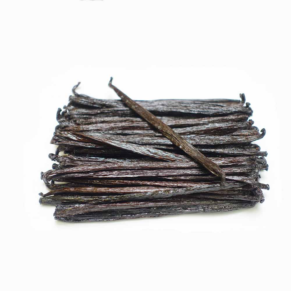 干燥的野生油性香荚兰荚果整个香草豆香料