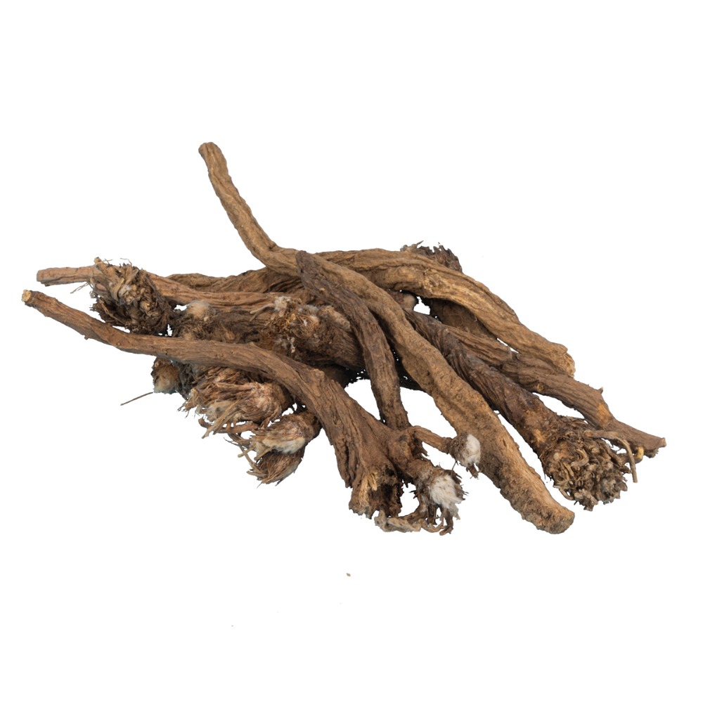 Корень этого пикантного. Имбирь корневище. Корневище калгана. Лечебные травы. Корень этого пикантного.