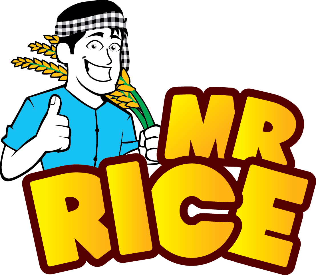 VIETNAMESE RICE FLOUR STRAW - MR RICE