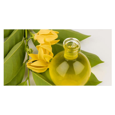 0 kilograms(min. order)    价格领先的依兰精油生产商 us$24.