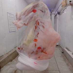 Delicious Camel Meat In Fresh Or Frozen Choices Alibaba Com