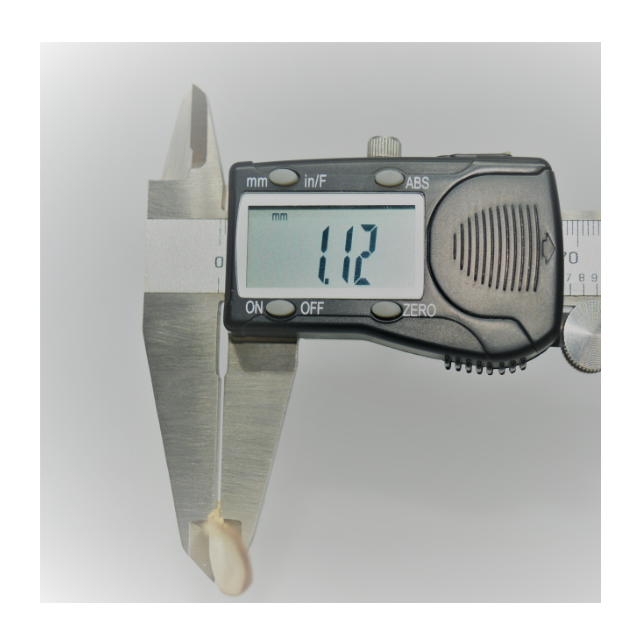 Специальный Корейский сушеный и тонкий нарезанный гриб shiitake, здоровый продукт, сушка на солнце, культивирование древесины дуба