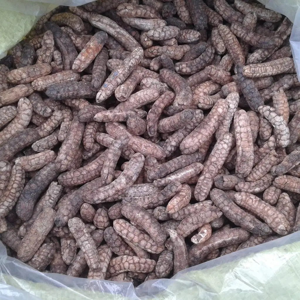 Вьетнамские Сушеные Семена леса банан/whatsapp:+ 84397392071