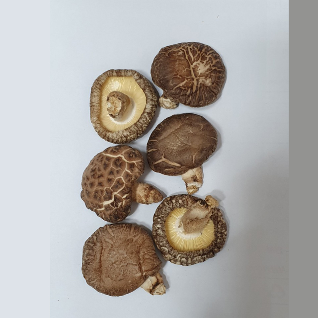 Корейский высушенный гриб шиитаке экстракт Shinnong органические урожай 4 ~ 5 см диаметр Dongko сушеных грибов шиитаке