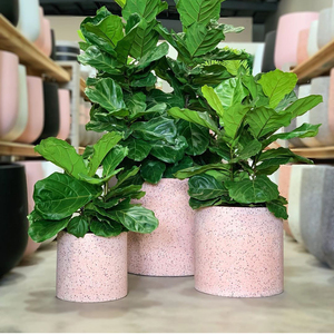 Exquisite Umbrella Flower Pot To Dazzle Up Your Decor Alibaba Com