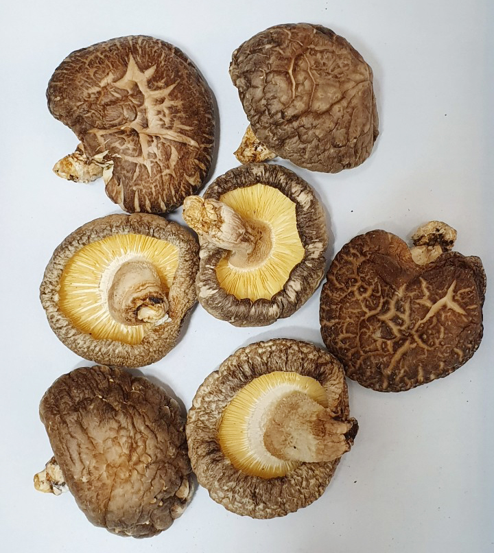 Сухой экстракт грибов Shiitake в Корейском стиле, органический Урожай Shinnong 4 ~ 5 см, коричневый свежий