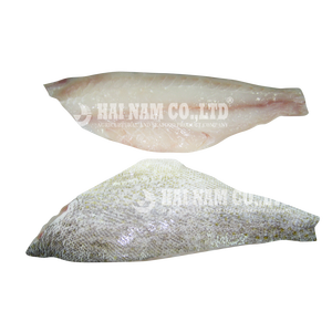 body frozen fish fillets frozen fish