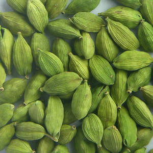 有机绿色小豆蔻批发价格最优热卖
