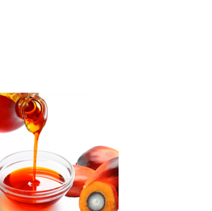 Ontdek De Fabrikant Plantaardige Palm Verkorting Van Hoge Kwaliteit Voor Plantaardige Palm Verkorting Bij Alibaba Com