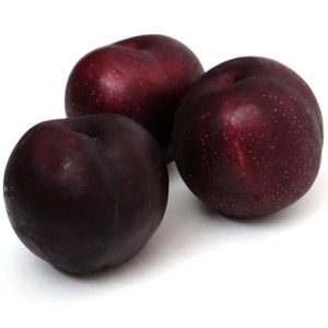 fresh black plum suppliers-fresh black plum suppliers