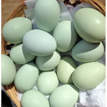 GREEN AND BLUE CHICKEN EGGS