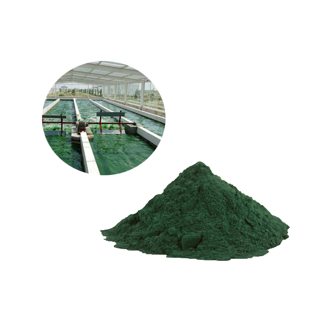 100% чистый кормовой порошок спирулины для собак/кошек оптом