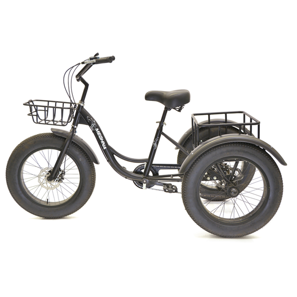 3 speed tricycle
