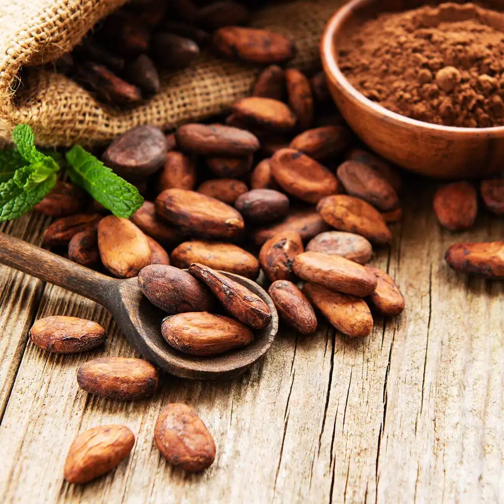 Цены на какао бобы. Какао Бобы. Roasted Cocoa Beans. Сколько стоит какао Боб. Fresh Cocoa Bean Dubai.