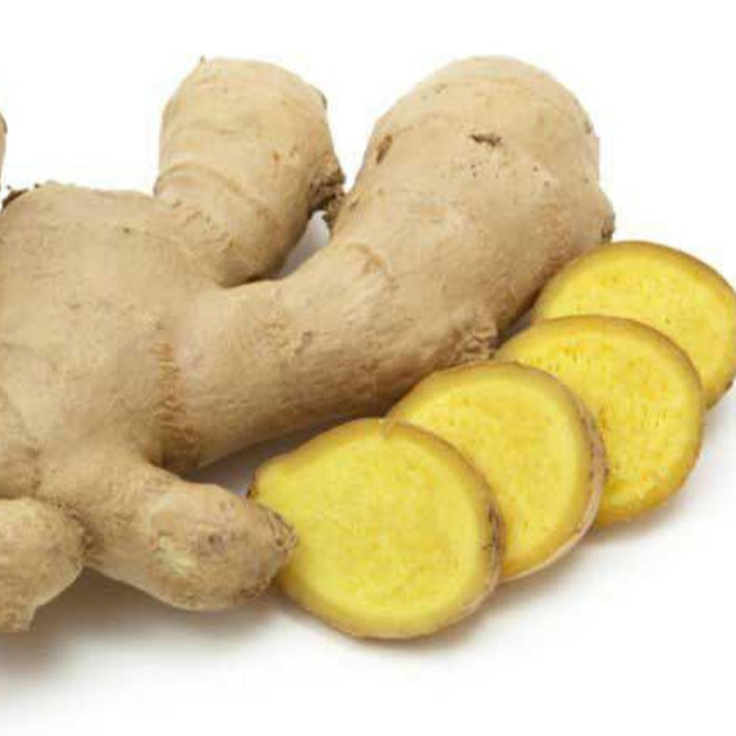 группа имбирь. концерт группы «v. тертый имбирь. гр. группа имбирь.