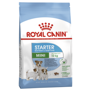 royal canin mini starter 10kg