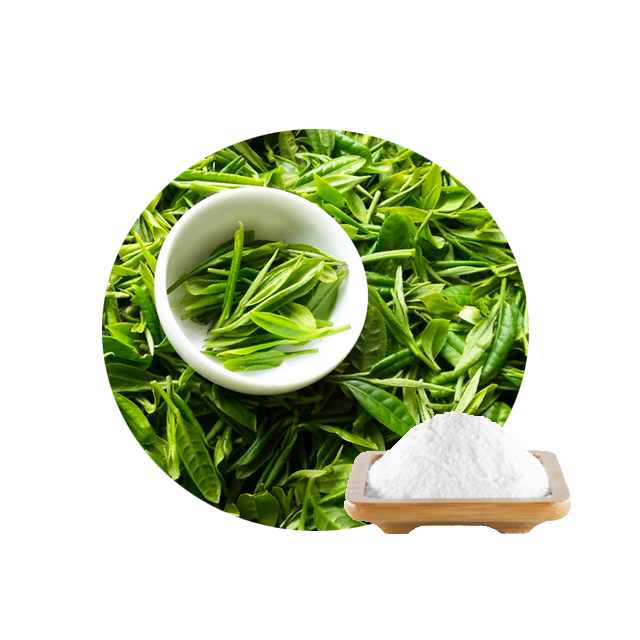 Hot sell tea polyphenol instant green tea extract powder 98% 99%