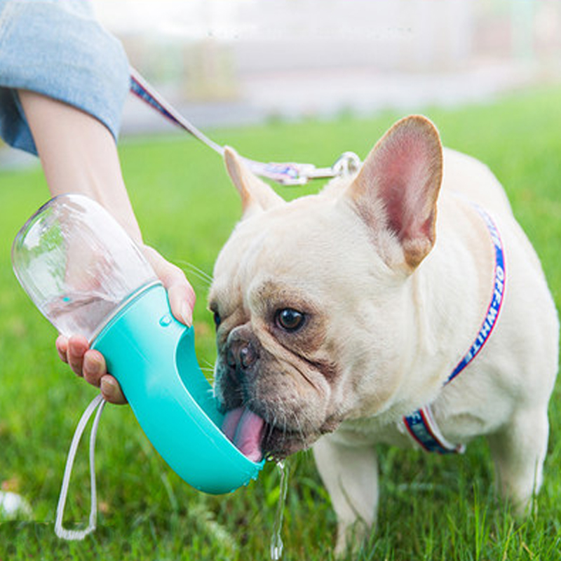 universal pet travel