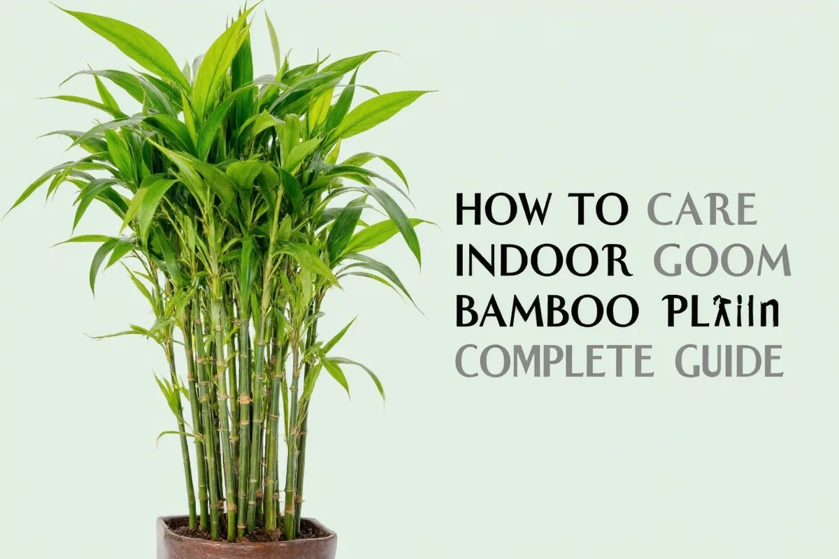 How to Trim Lucky Bamboo: Step-by-Step Pruning Guide for Healthier Indoor Bamboo