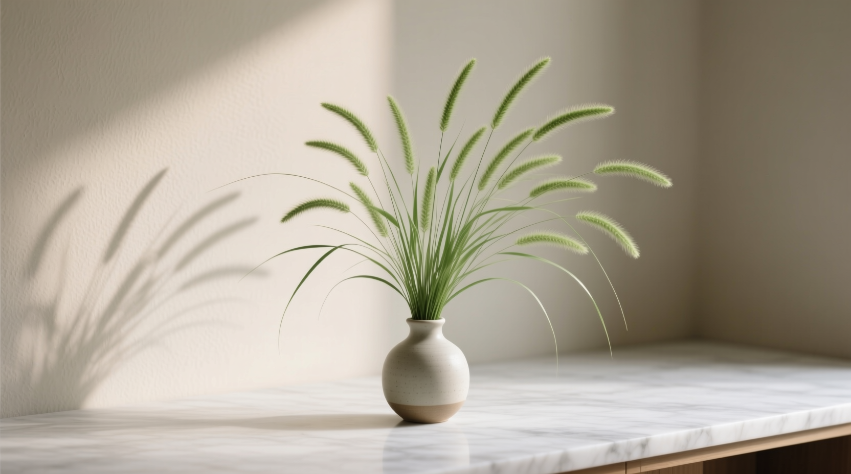 short decorative grass
