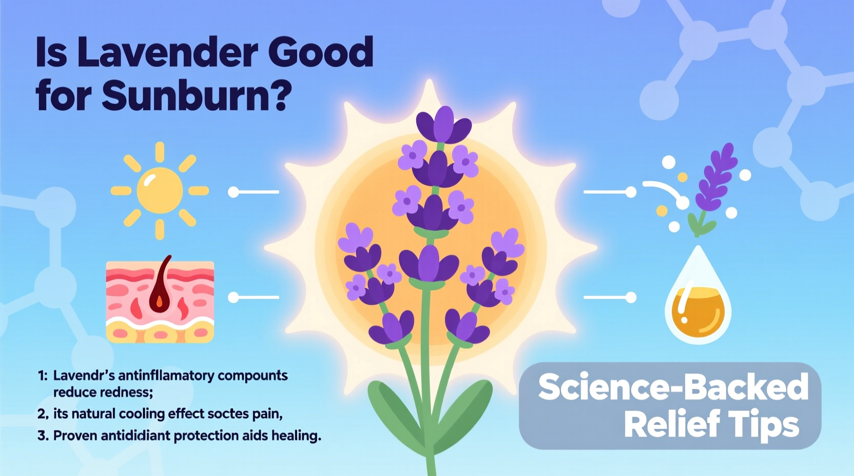 5 Ways Lavender Heals Sunburn | TheHomeSprouts