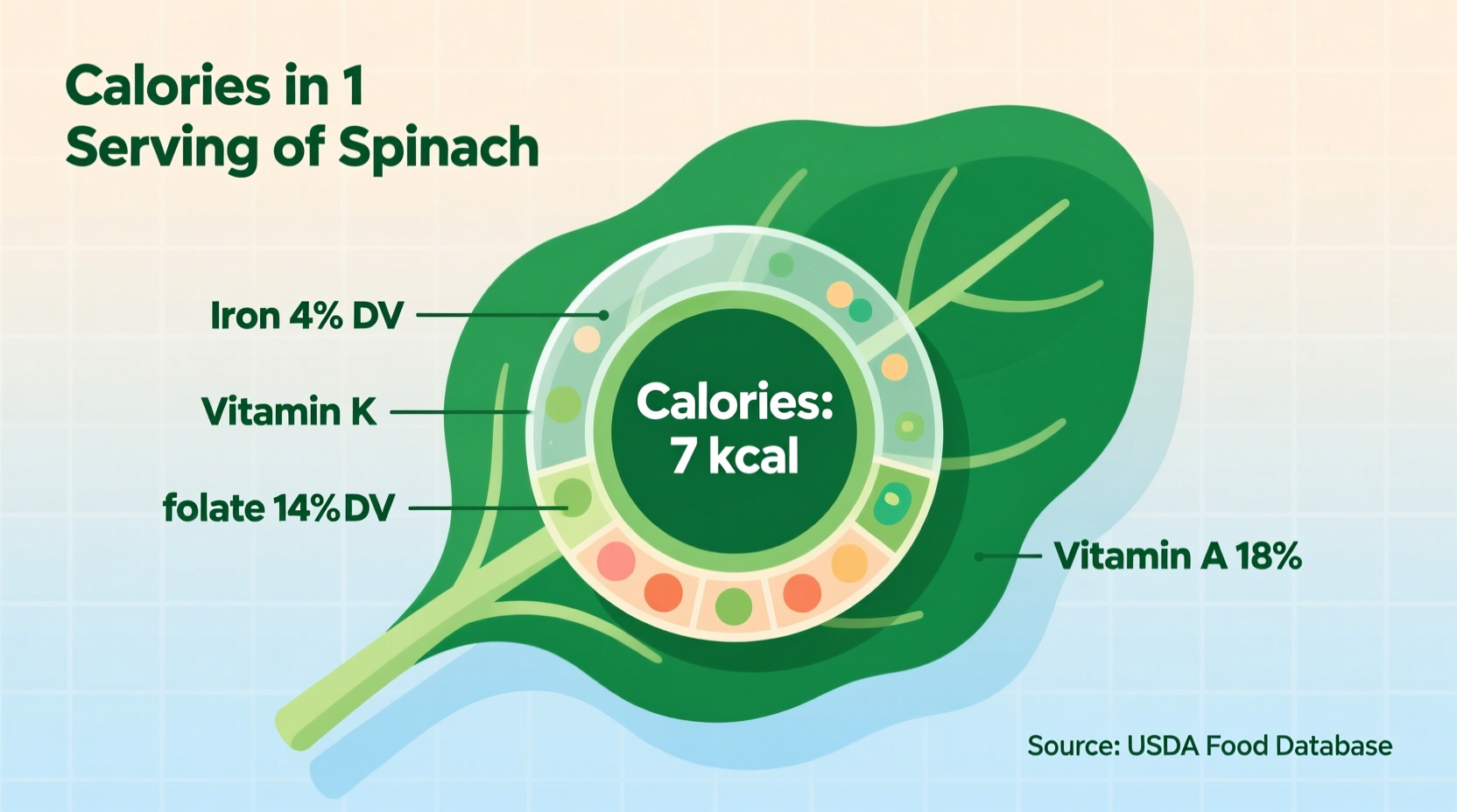 calories in a serving of spinach explained