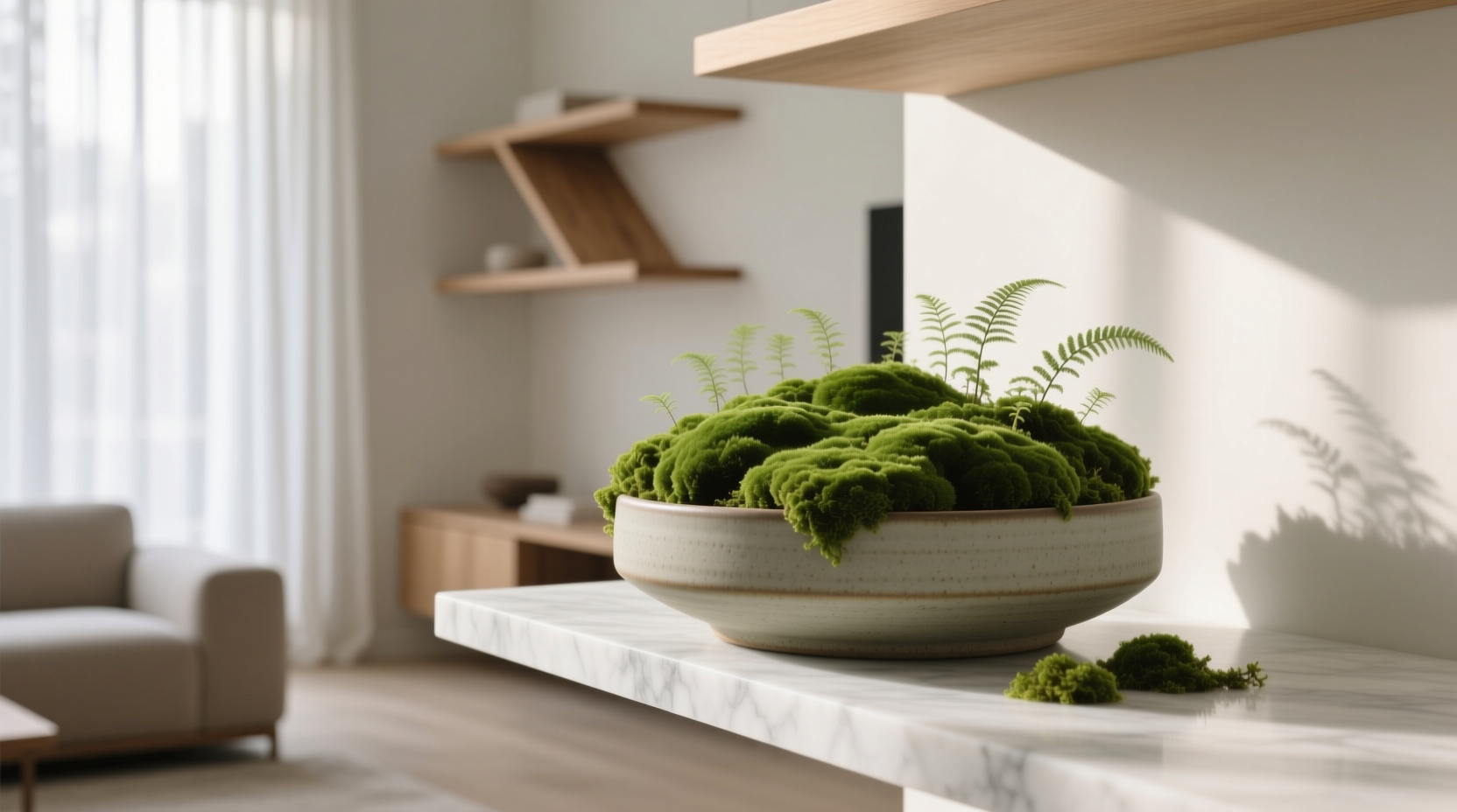 indoor moss plant