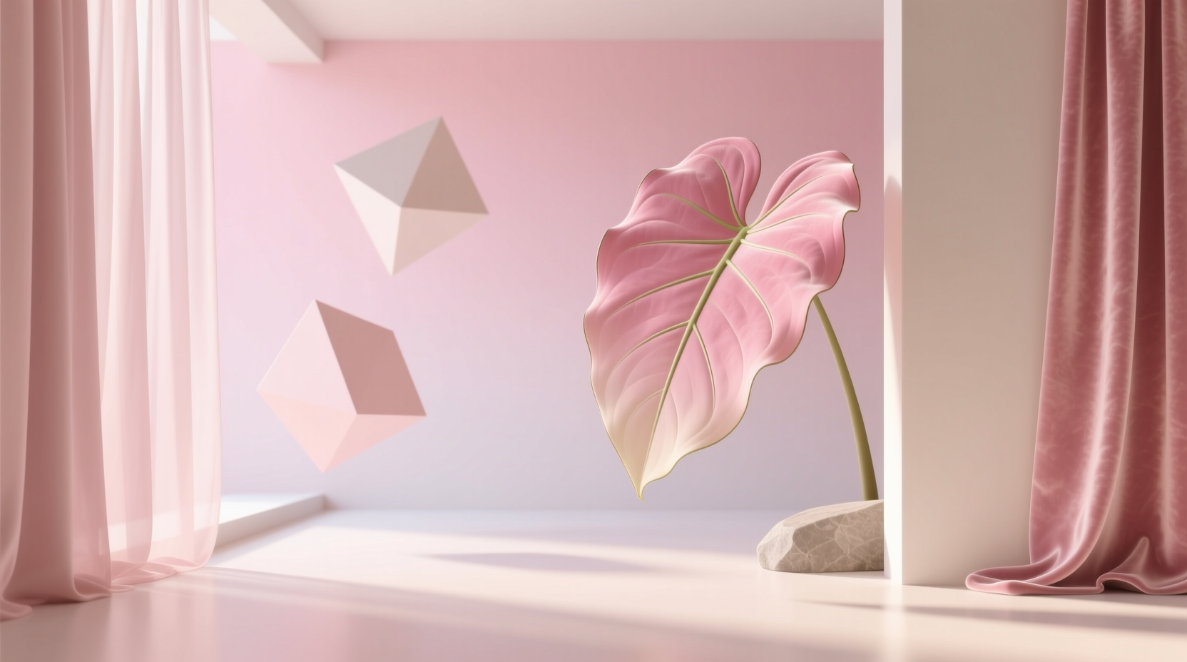 elephant ear pink